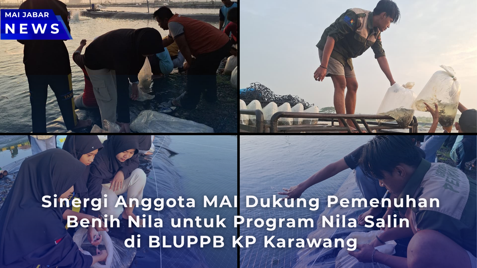 Sinergi Anggota MAI Dukung Pemenuhan Benih Nila untuk Program Nila Salin di BLUPPB KP Karawang