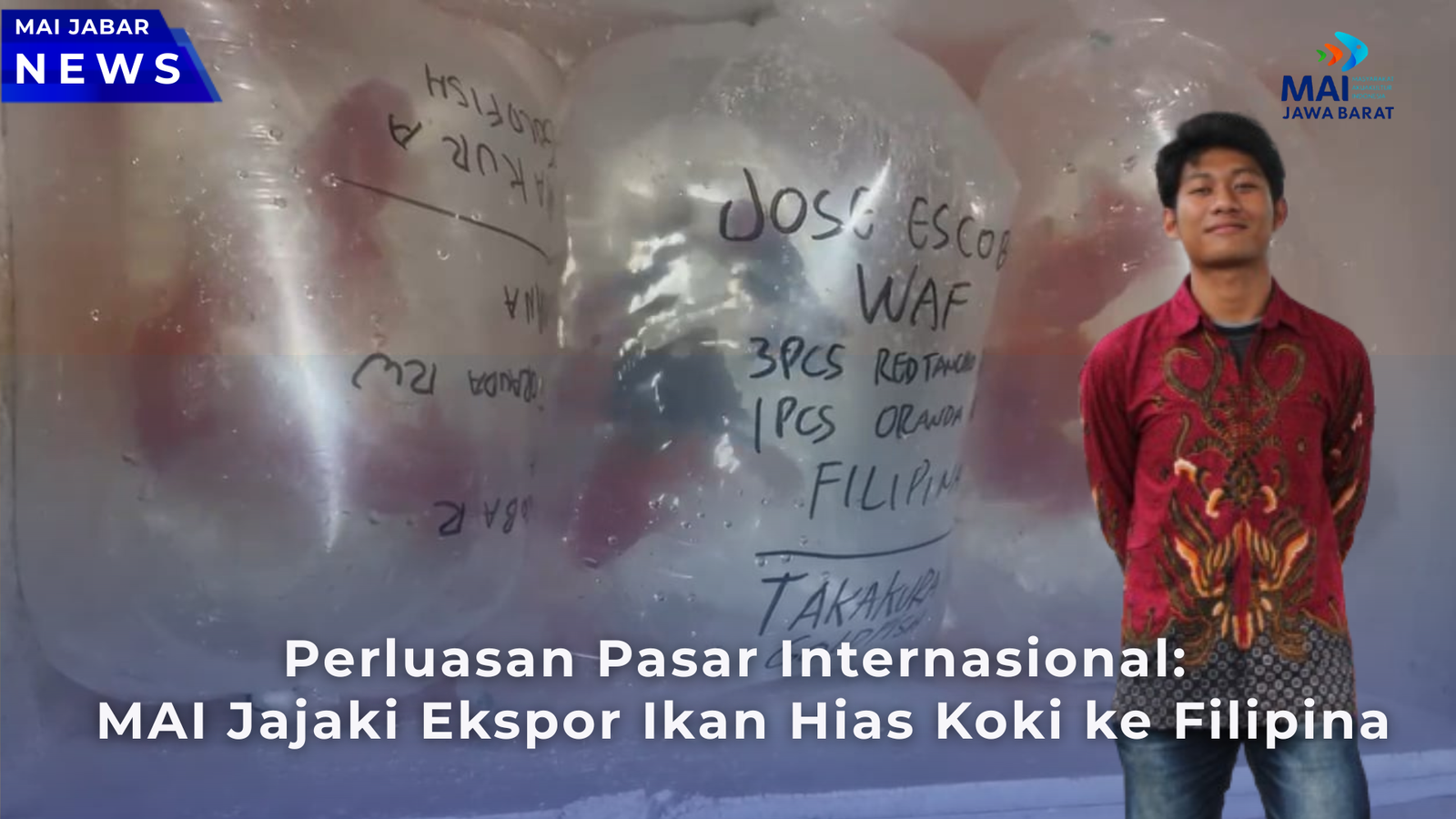 Perluasan Pasar Internasional: MAI Jajaki Ekspor Ikan Hias Koki ke Filipina